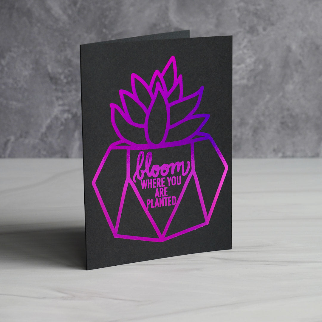 Bloom