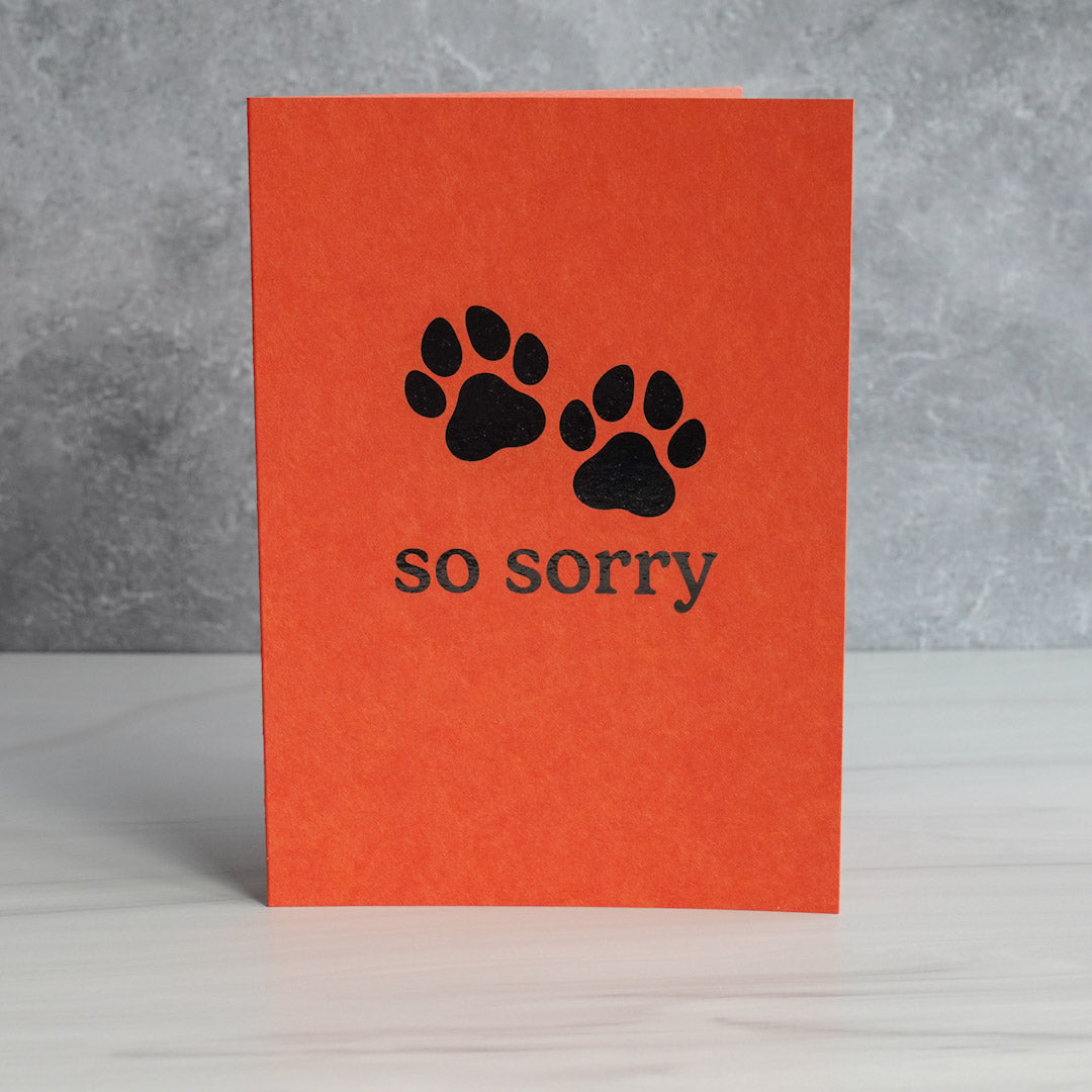 So Sorry - Paw Prints