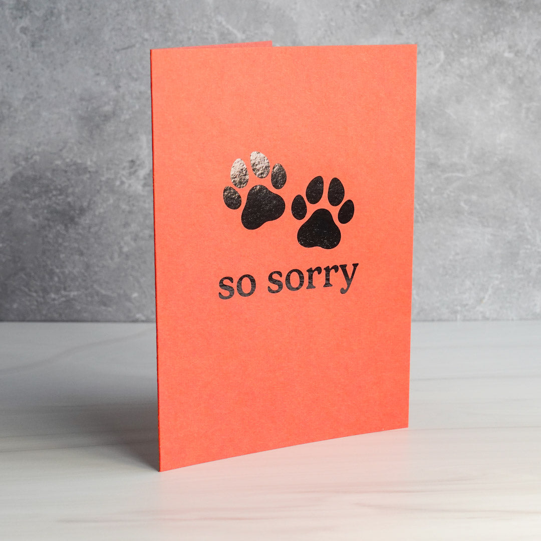 So Sorry - Paw Prints